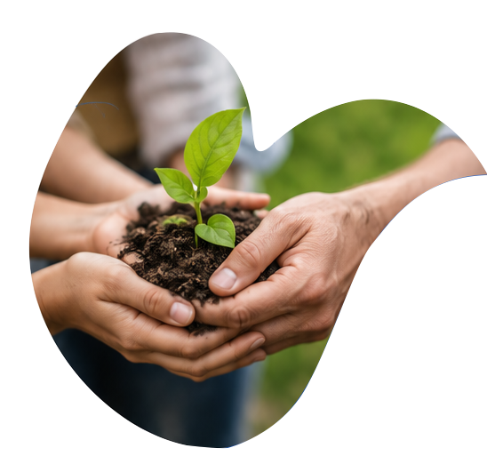 Hands holding a growing green plant - Do4Kind